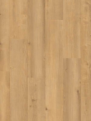 Beautifloor West - Vlaanderen Kruiseke Laminaat 400107326 - Solza.nl