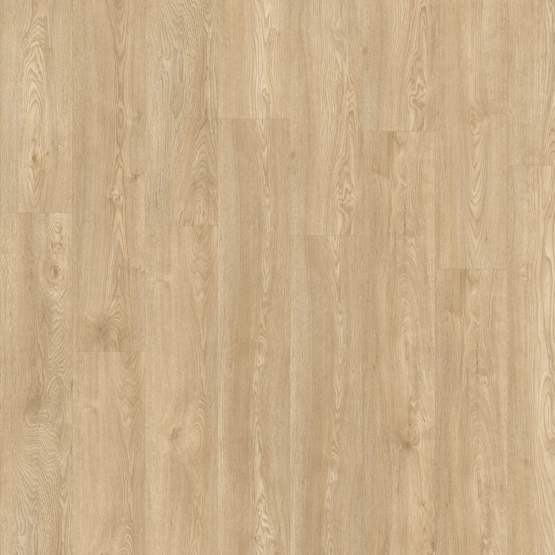 Beautifloor Zeeland Middelburg Plank Plak PVC 400108249 - Solza.nl