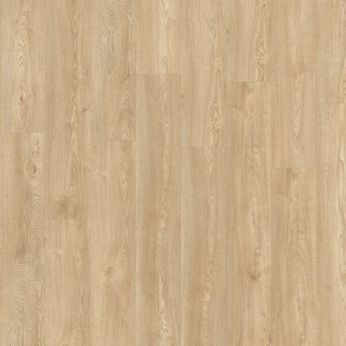 Beautifloor Zeeland Middelburg Plank Plak PVC 400108249 - Solza.nl