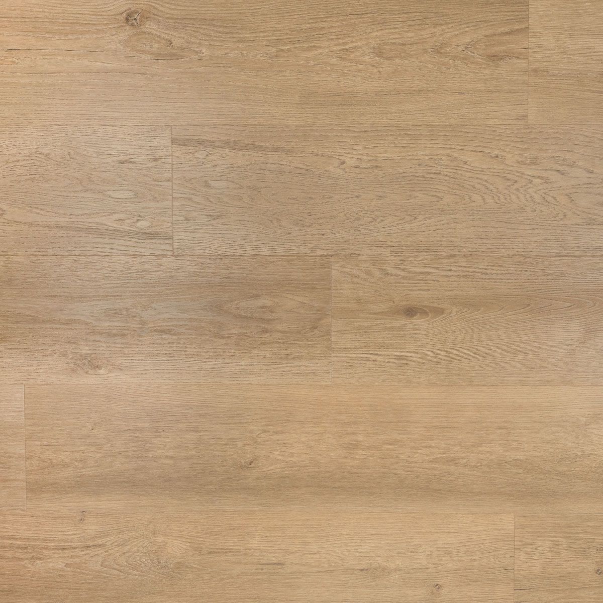 Douwes Dekker Gemberkoek - Riante Plank - Click PVC - Ambitieus - 10524 - Solza.nl