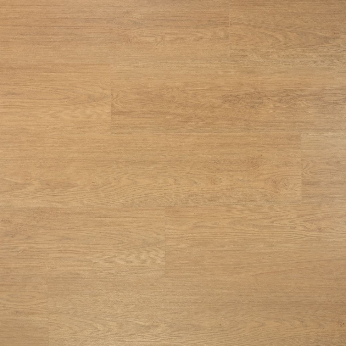 Douwes Dekker Kaviaar - Extra Lange Plank - Puur Laminaat - 03489 - Solza.nl