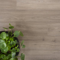 Douwes Dekker Marjolein - Solide Plank - Trots Laminaat - Pressed Bevel - 04684 - Solza.nl