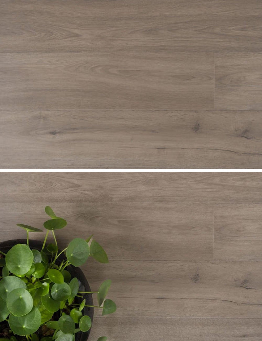 Douwes Dekker Marjolein - Solide Plank - Trots Laminaat - Pressed Bevel - 04684 - Solza.nl