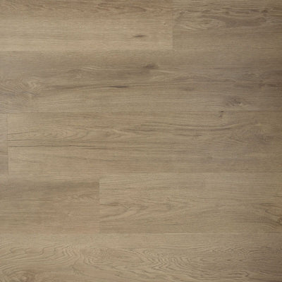 Douwes Dekker Spekkoek - Riante Plank - Plak PVC - Ambitieus - 10518 - Solza.nl