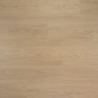 Douwes Dekker Truffel - Brede Plank - Sympathiek Laminaat - 03480 - Solza.nl