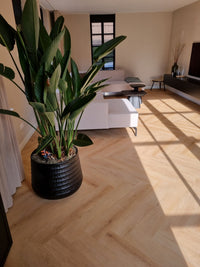 Floer Walvisgraat Plak PVC Cetus Creme 2.0 FLR - 3524 MEGAMAT - Solza.nl
