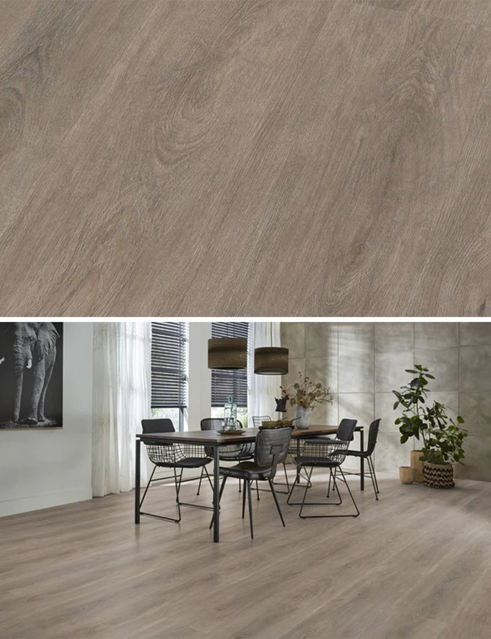 Ambiant Robusto Smoky Plak PVC