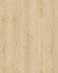 Hoomline City 50 Apeldoorn 6045 - Plak PVC - A10207 - Solza.nl