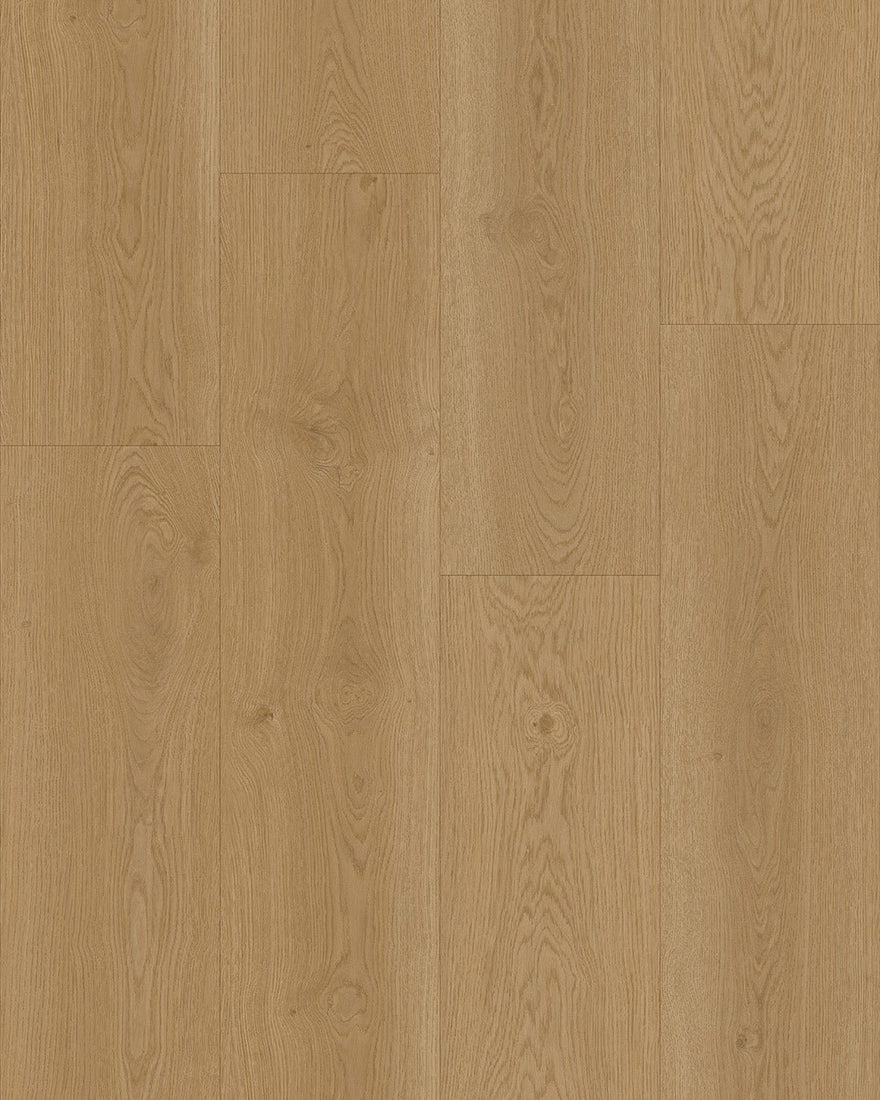 Hoomline Elegance 55 Ooievaar 51316 - Plak PVC - A10138 - Solza.nl