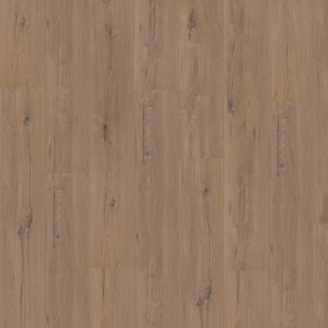 Hoomline Laminaat Royal V2 329022 TOSCANE EIK - Solza.nl