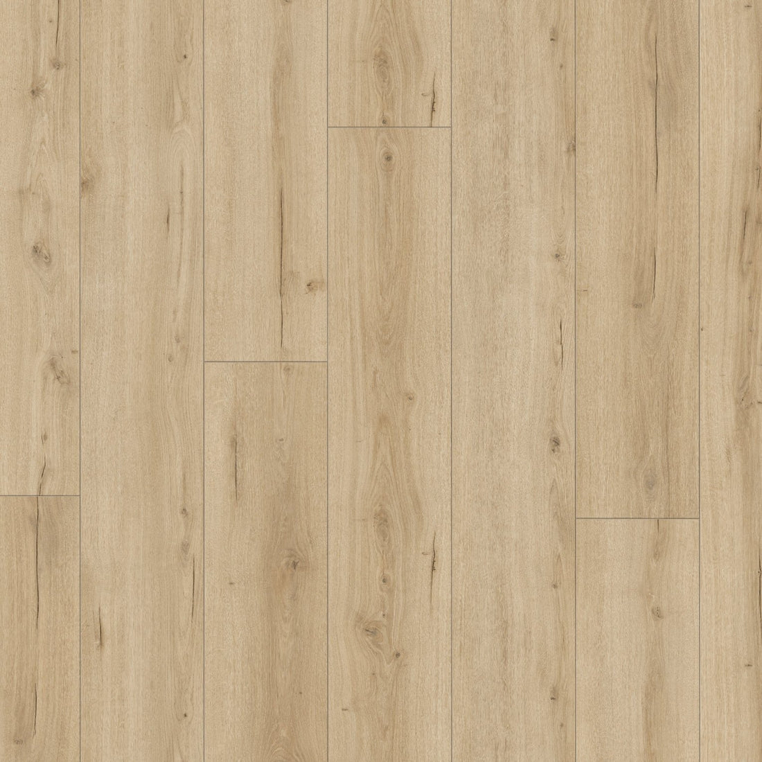 Hoomline Terra XL V4 Aquaprotect Kalk 2309 - Laminaat - 16603 - Solza.nl
