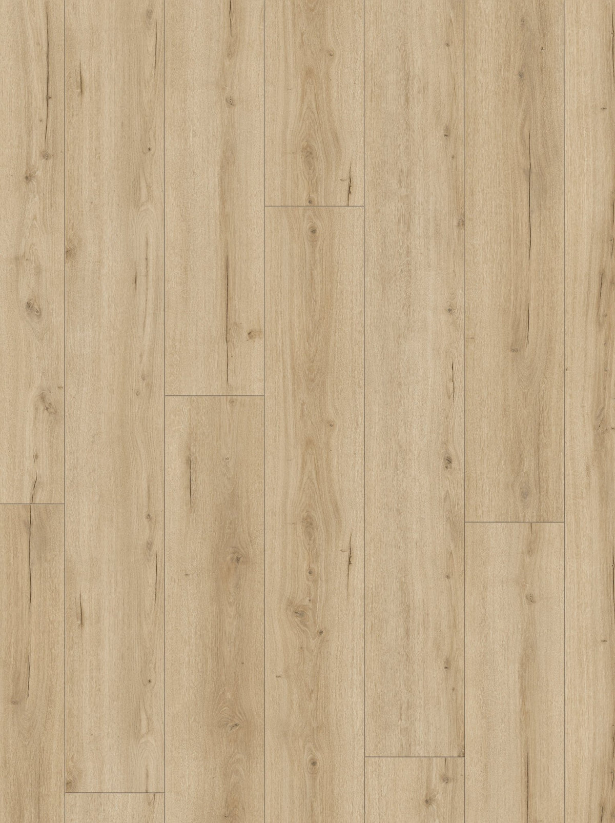 Hoomline Terra XL V4 Aquaprotect Kalk 2309 - Laminaat - 16603 - Solza.nl
