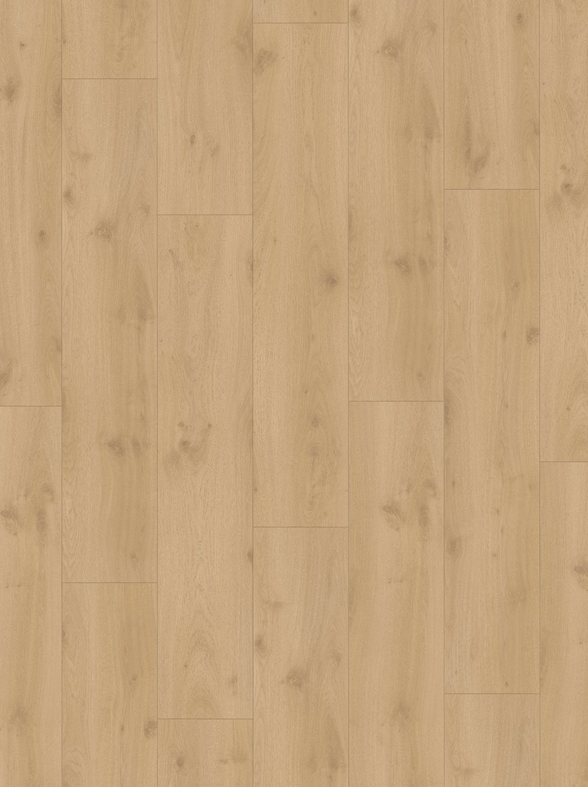 Hoomline Terra XL V4 Aquaprotect Leem 2601 - Laminaat - 16609 - Solza.nl