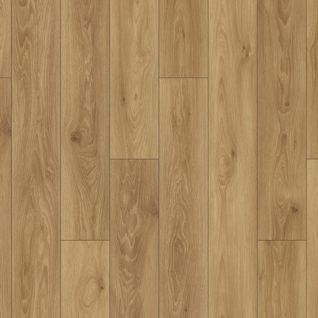 Otium Ritual Warm - Laminaat - 3443 - Solza.nl