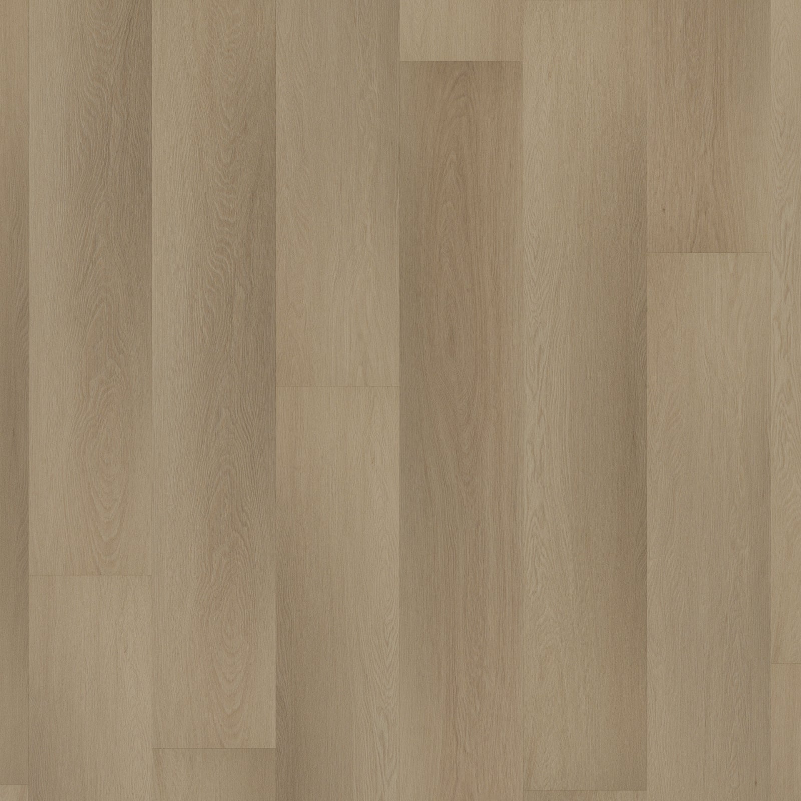 ROOM5 Charming Suite Rechte Stroken Plak PVC 555 - 100108 - Solza.nl