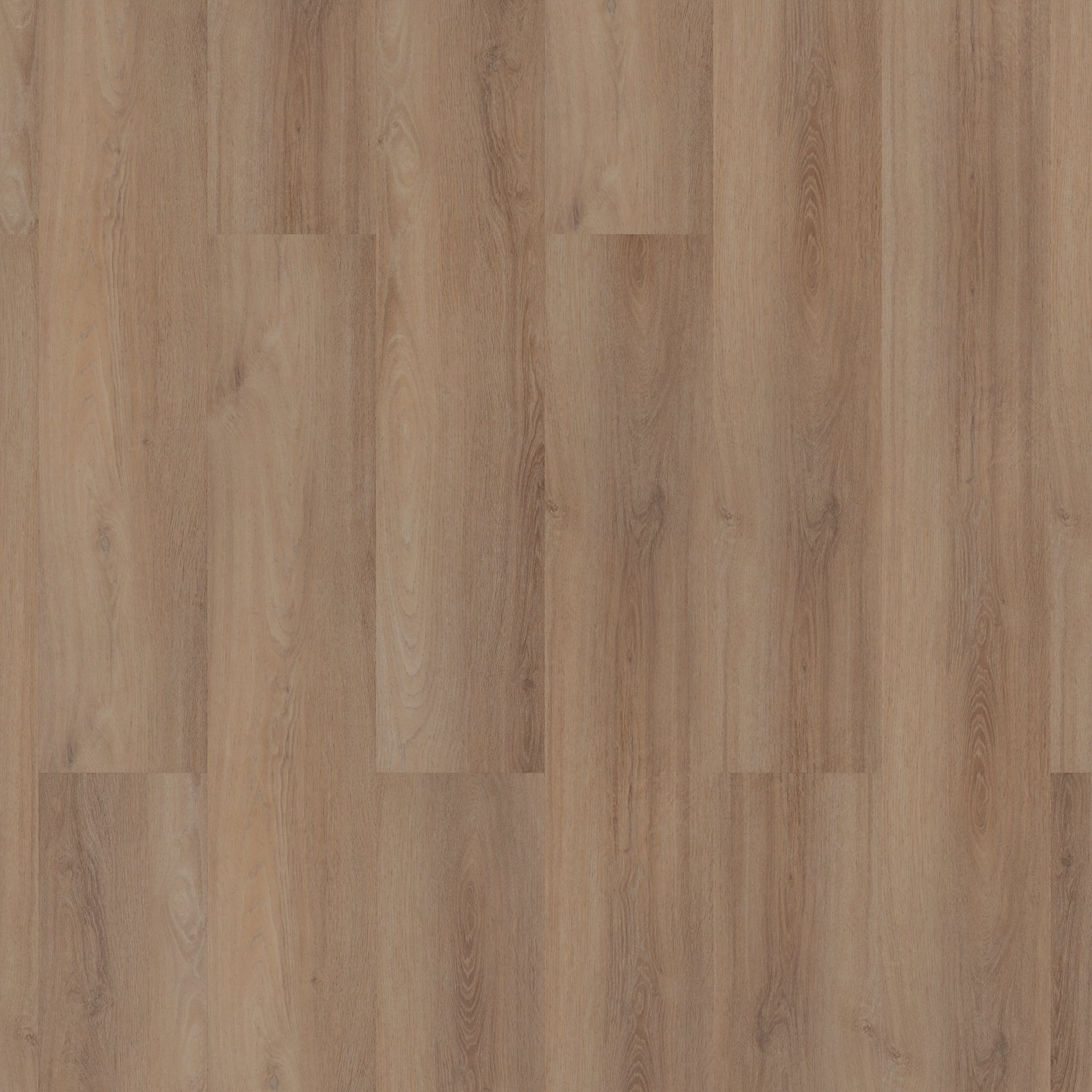 ROOM5 Superior Beige Planks Rechte Stroken Plak PVC 555100102 - Solza.nl