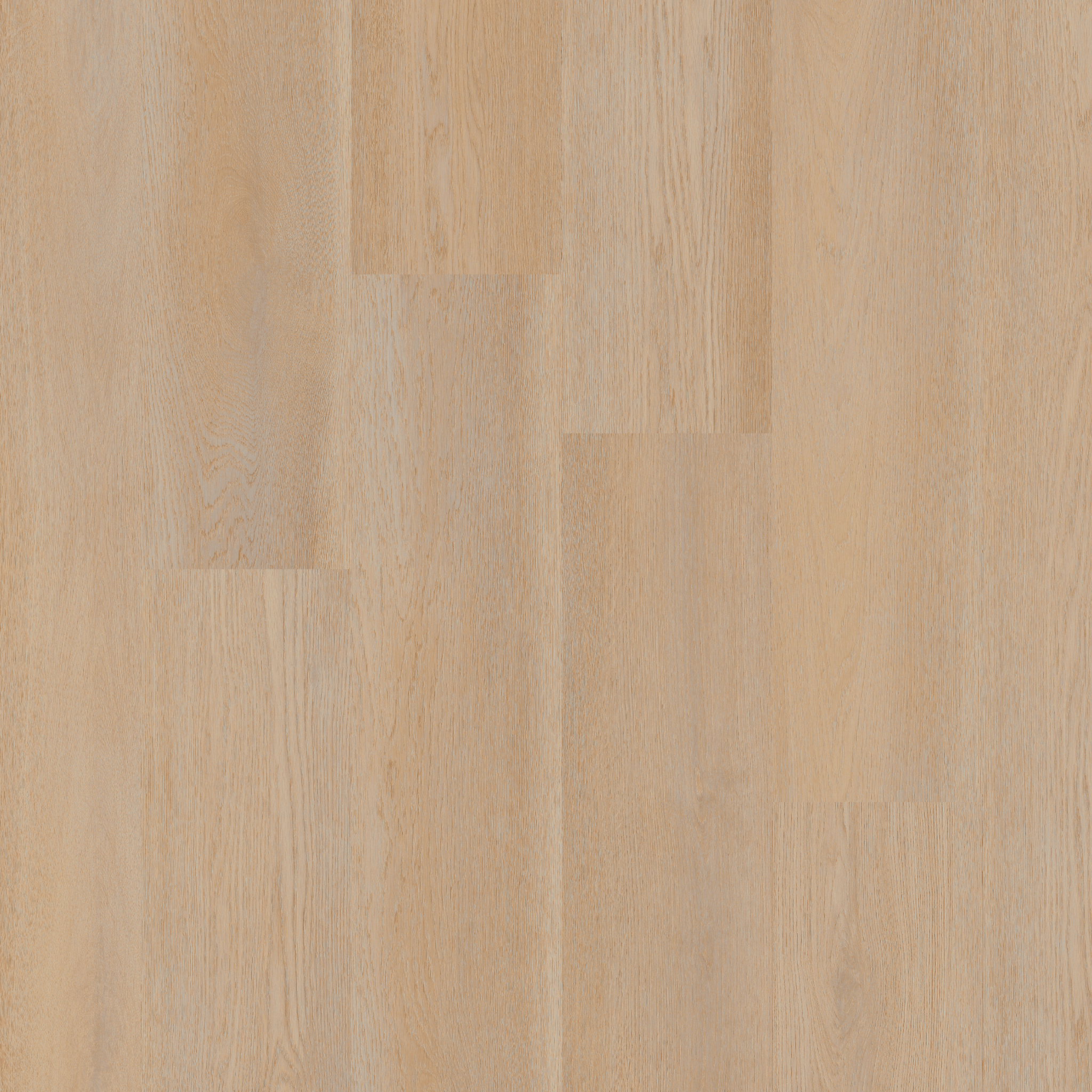 標本 RSA Atrichiana placida 18mm Therdex Premier - Plak PVC Rechte stroken - 15080 | Solza.nl