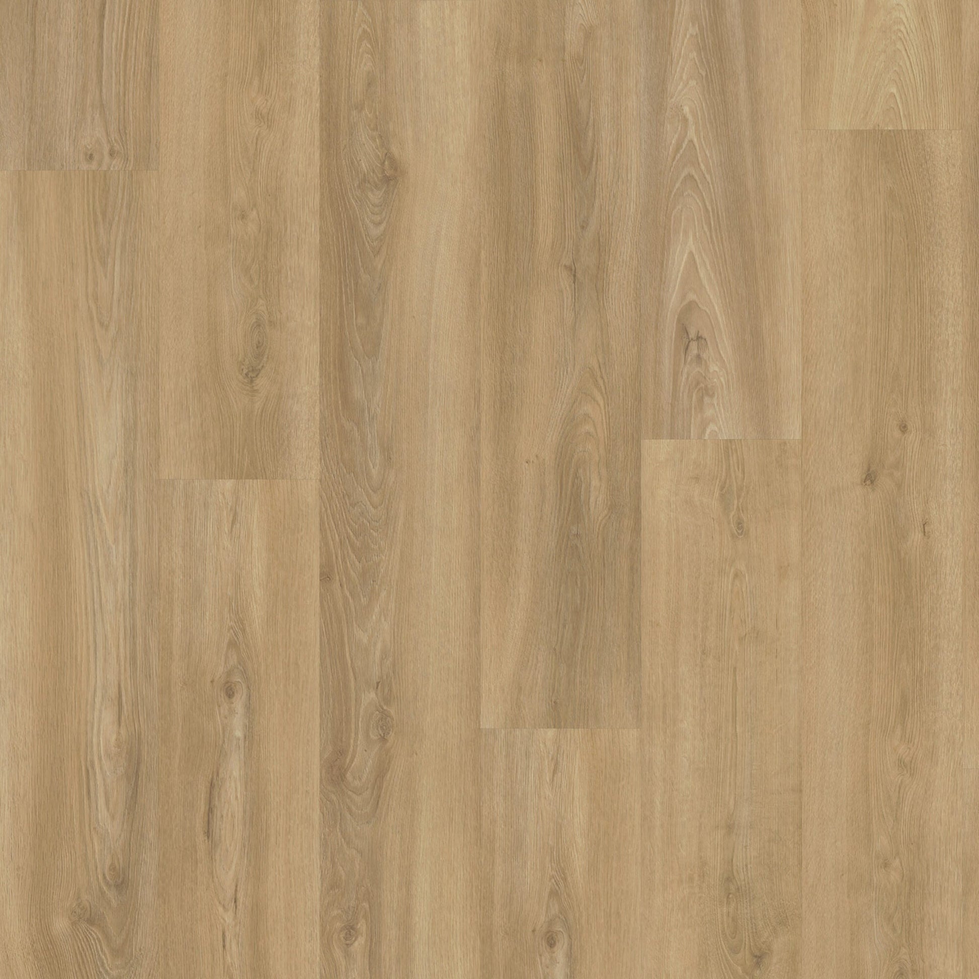 Vivafloors Oak 3510 Glue-Down PVC
