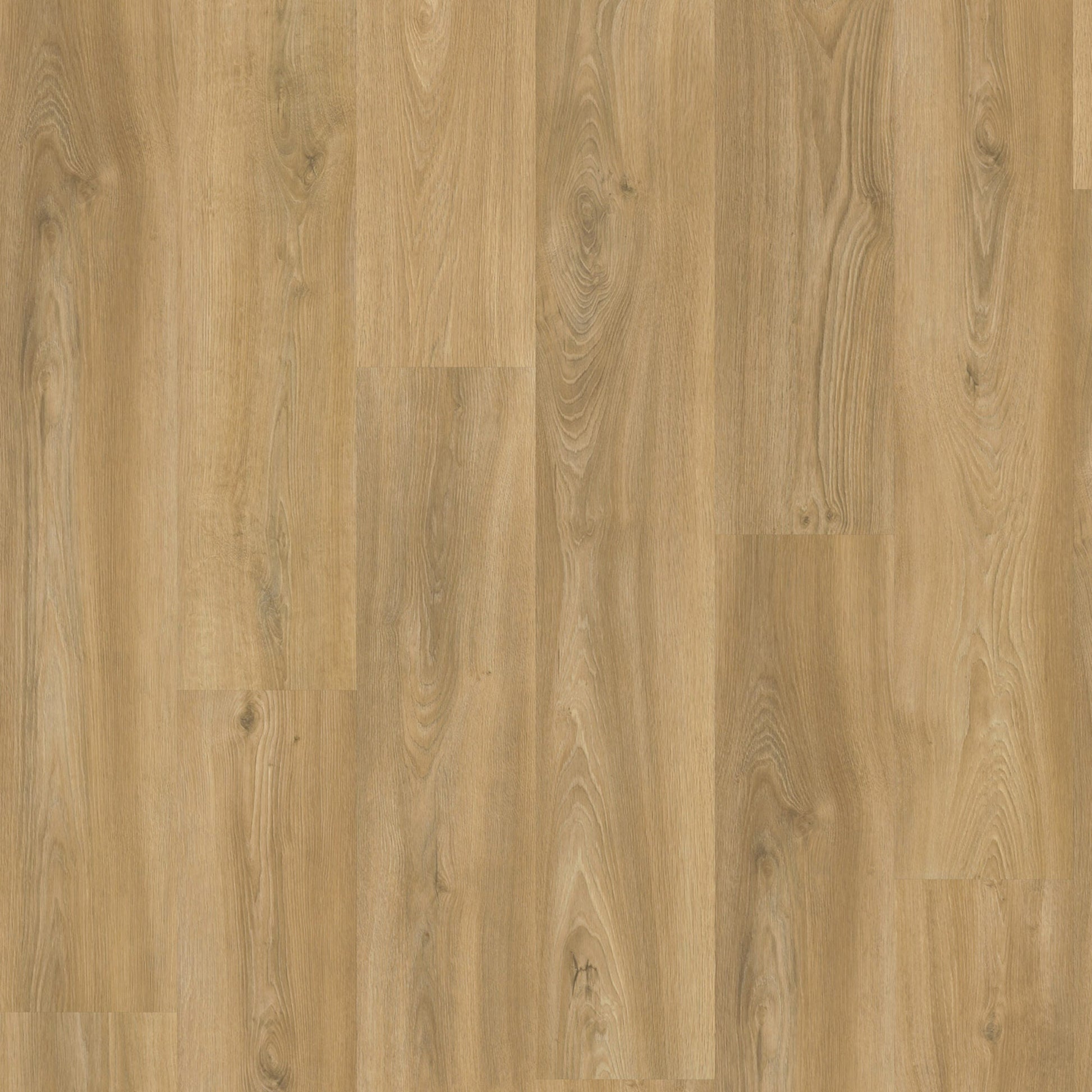 Vivafloors Oak 3520 Glue Down PVC