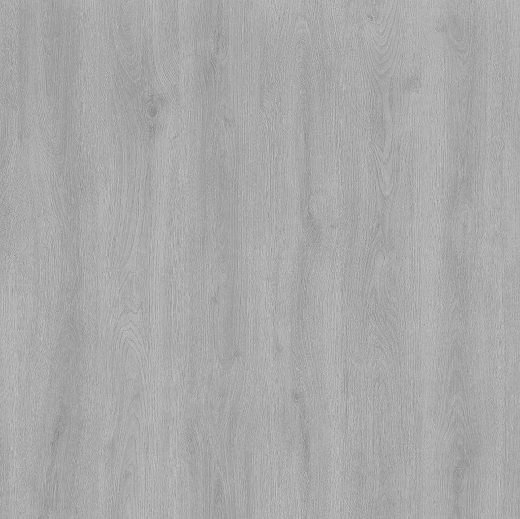 Budgetfloor Stratifié Elegant Chêne Gris Clair D3904 - Solza.fr