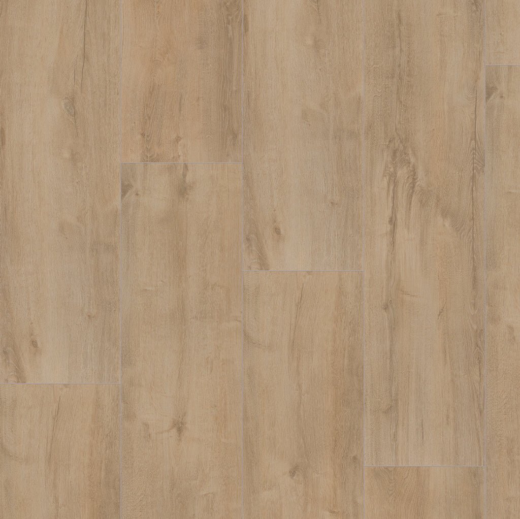 Budgetfloor Stratifié Major Chêne Beige - Solza.fr