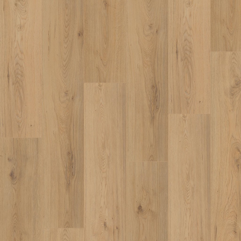 Budgetfloor Stratifié Surprise Millenium Oak SP805 - Solza.fr