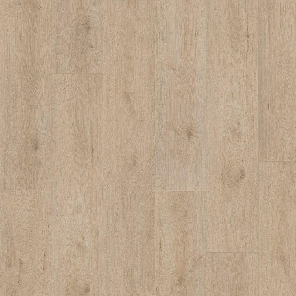 Budgetfloor Stratifié Surprise Millenium Oak SP885 - Solza.fr