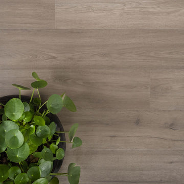 Douwes Dekker Trots  Laminaat Solide Plank Marjolein 4V 04684