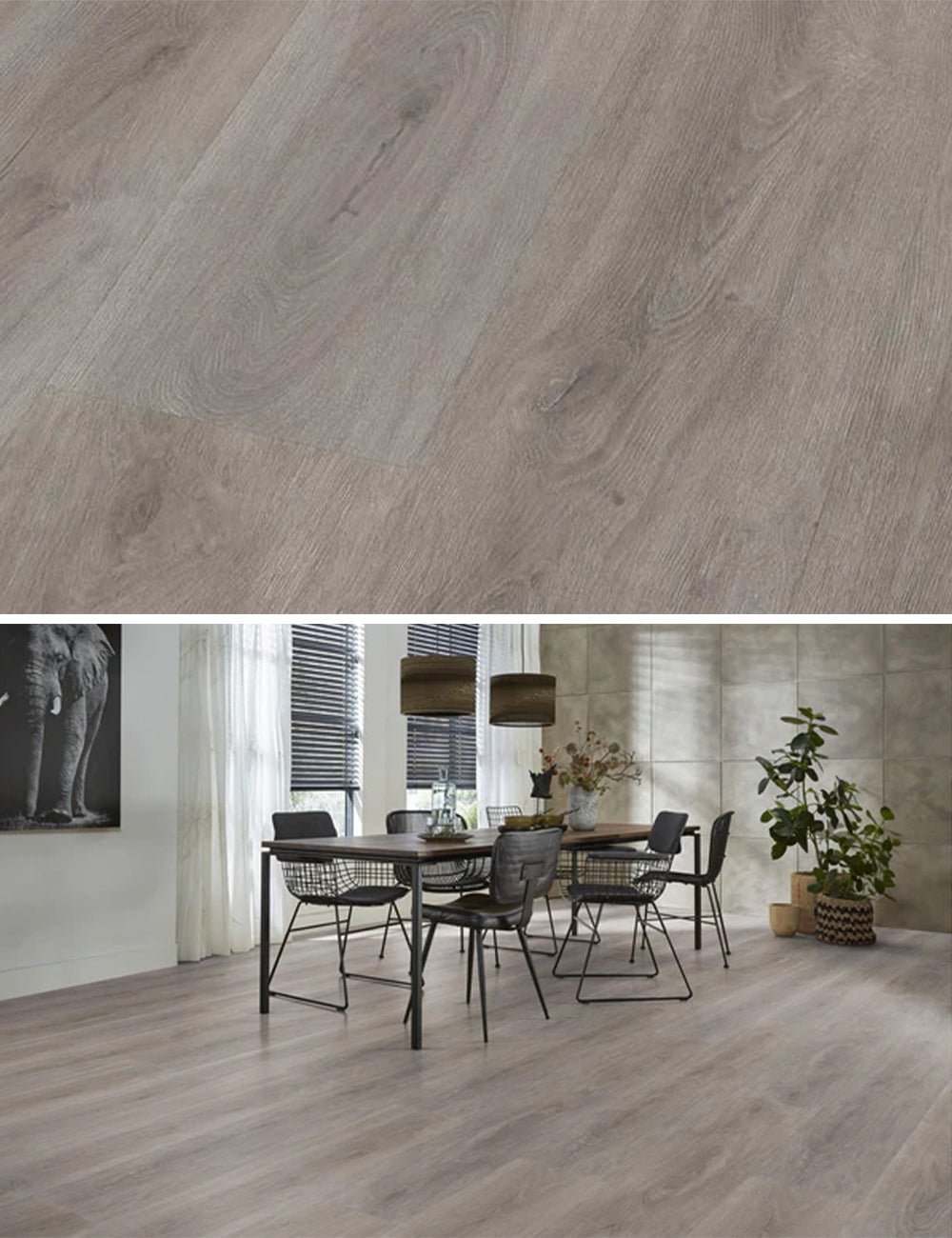 Floorlife Click PVC Parramatta Grey Oak 2554 SRC - Sol gris clair - Solza.fr
