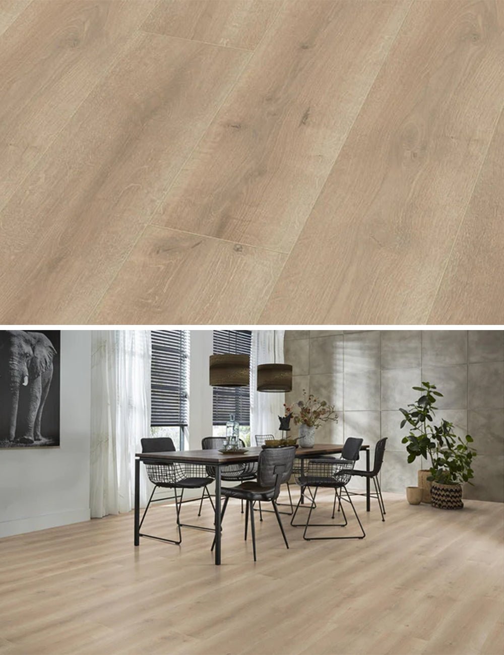 Floorlife Laminaat Houtlook Queens Naturel Eiken 6400 kopen