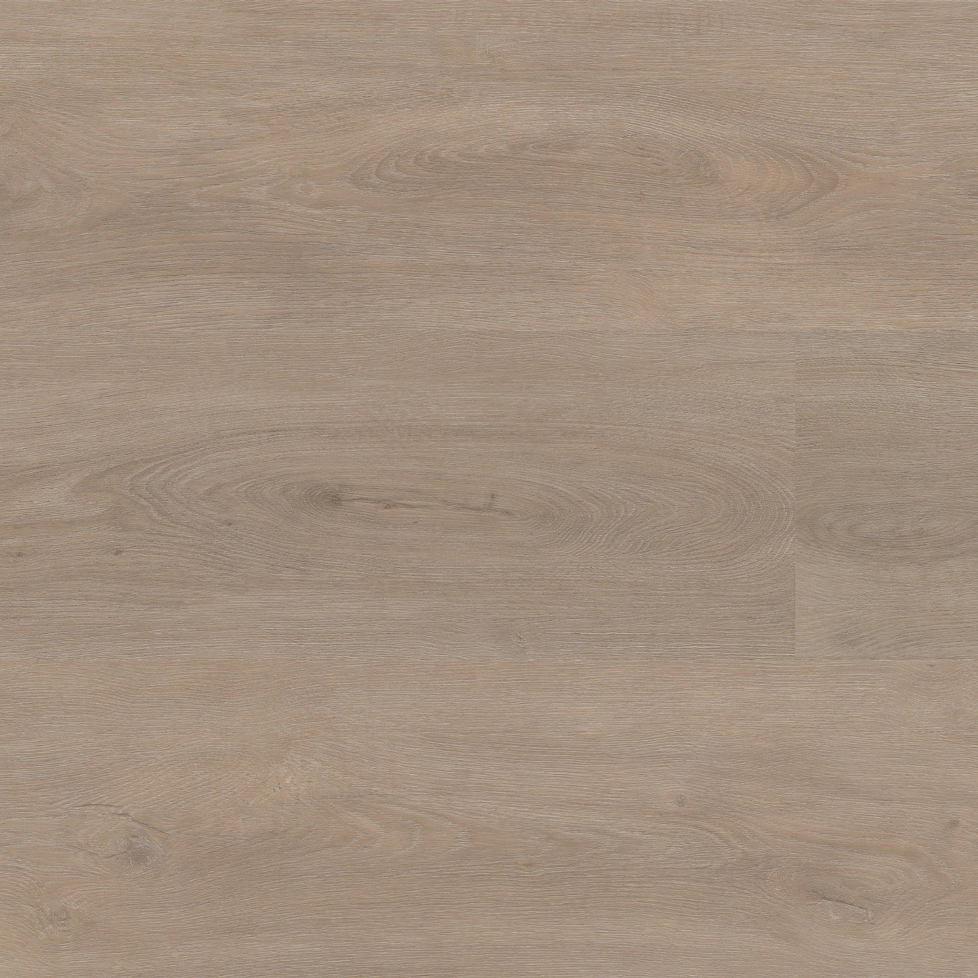 Floorlife Parramatta Light Oak 1556 Dryback PVC Rechte Stroken - Solza.nl