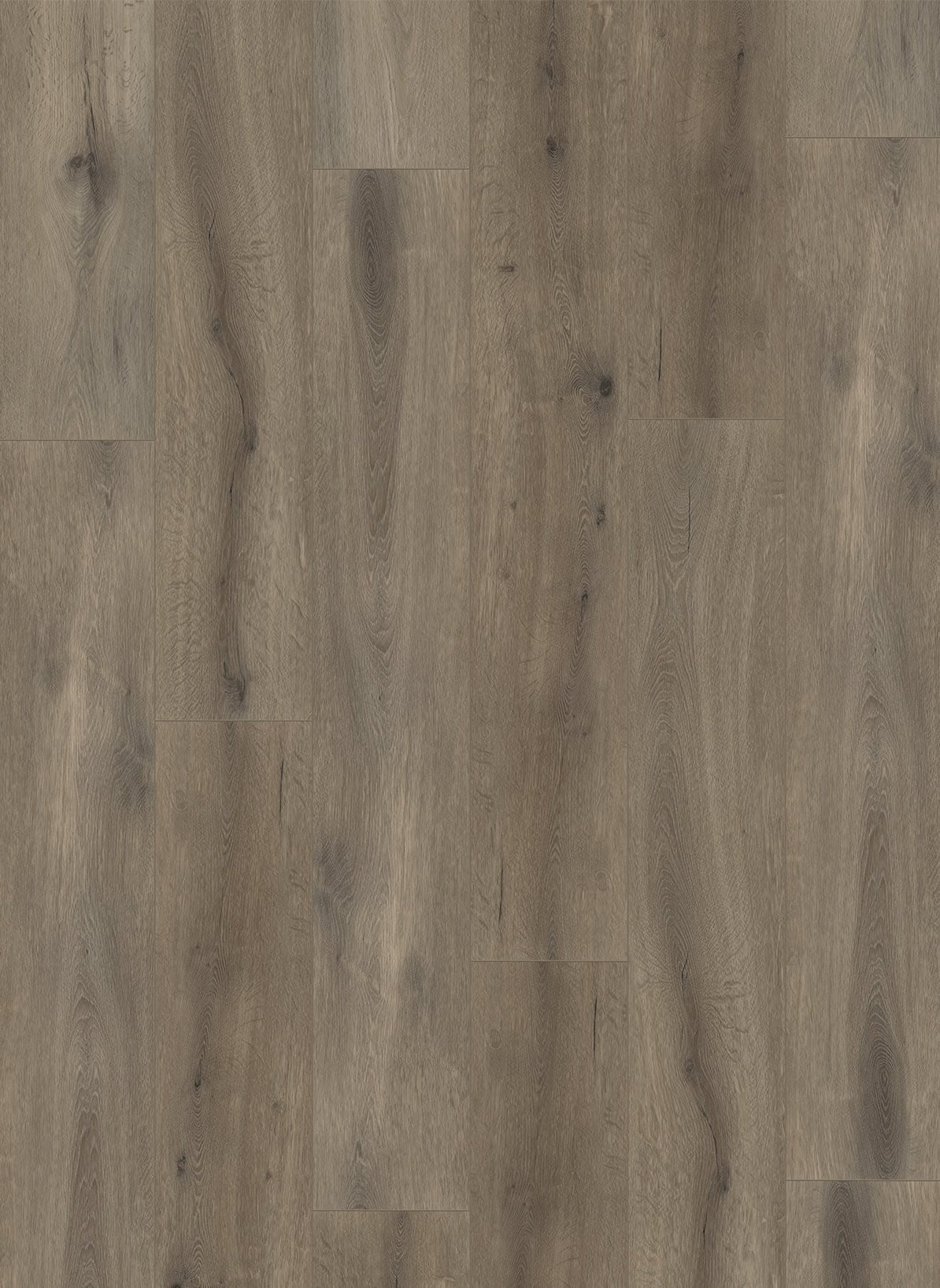 Gelasta Callisto Dryback 4105 Natural Oak Brown - Solza.nl