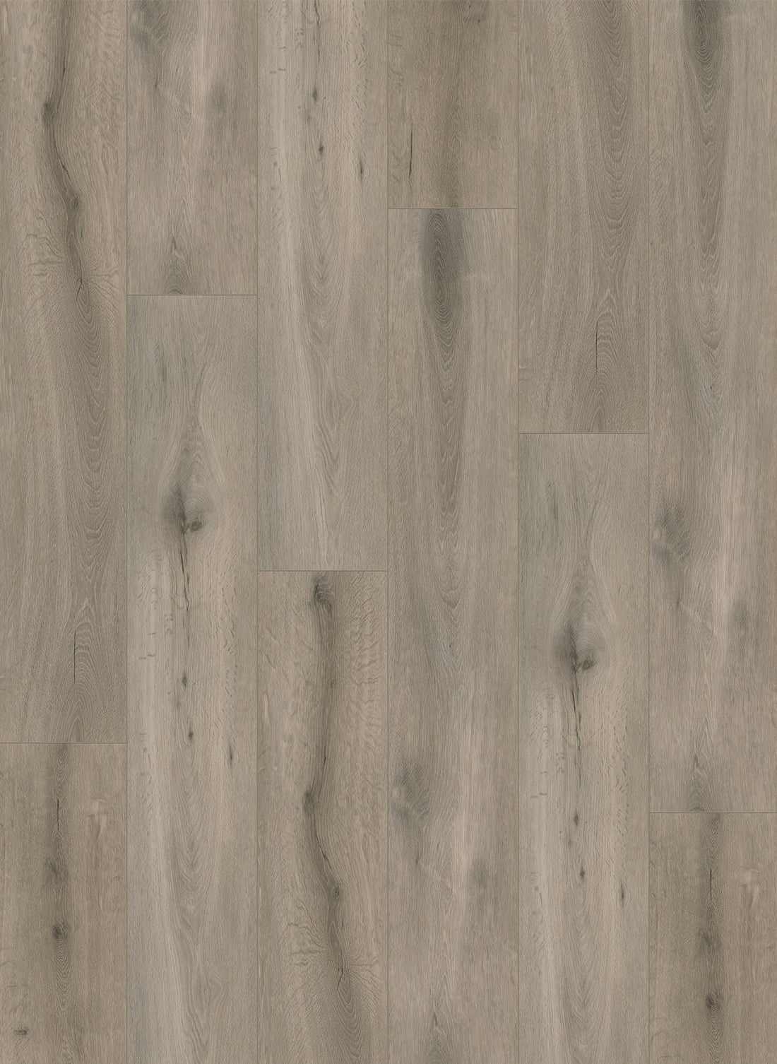 Gelasta Callisto Rigid 5104 Natural Oak Grey - Solza.nl