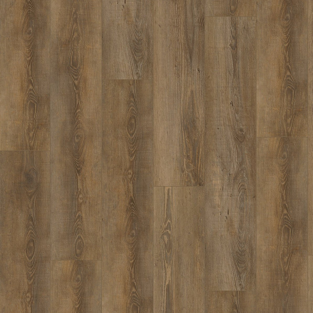 Gelasta City Dryback 4604 Olympia Pine Natural - Solza.nl