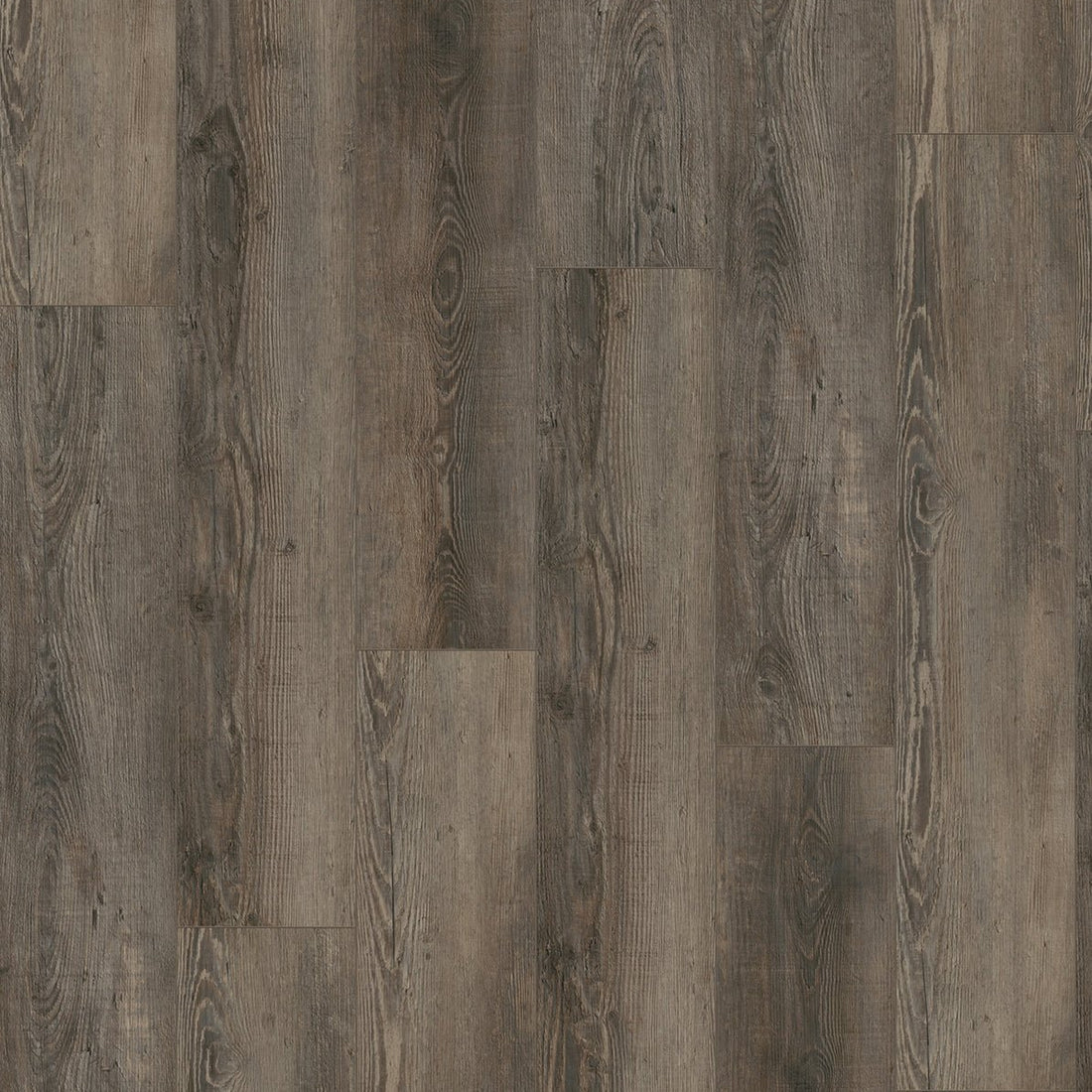 Gelasta City Dryback 4605 Olympia Pine Brown - Solza.nl