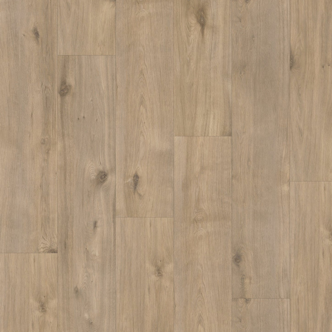 Hoomline Laminaat Elite XL V4 MAAS 60969 - Solza