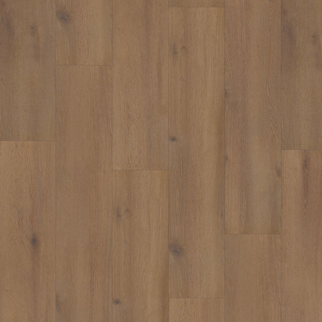 Hoomline Laminaat Elite XL V4 WAAL 6079 - Solza