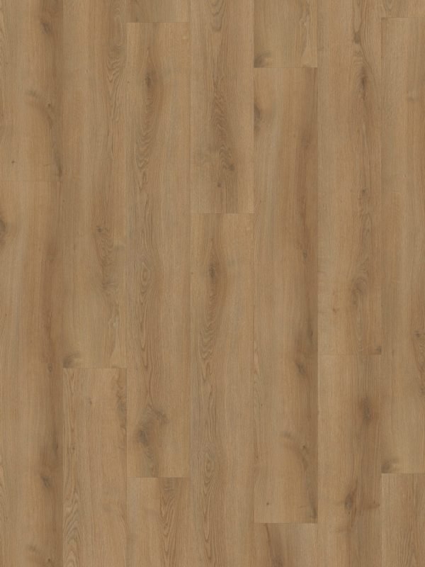Hoomline Stilleven 10dB Hals 832 Click PVC - Solza.nl