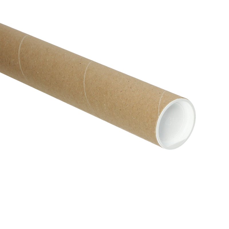 PVC Bies 2,3 x 5 mm x 100 cm zwart (89493) - Solza.nl