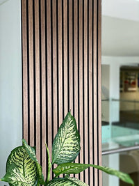 Your Walls Akoestisch Paneel Walnut 2161 240 x 60 cm - Solza.nl