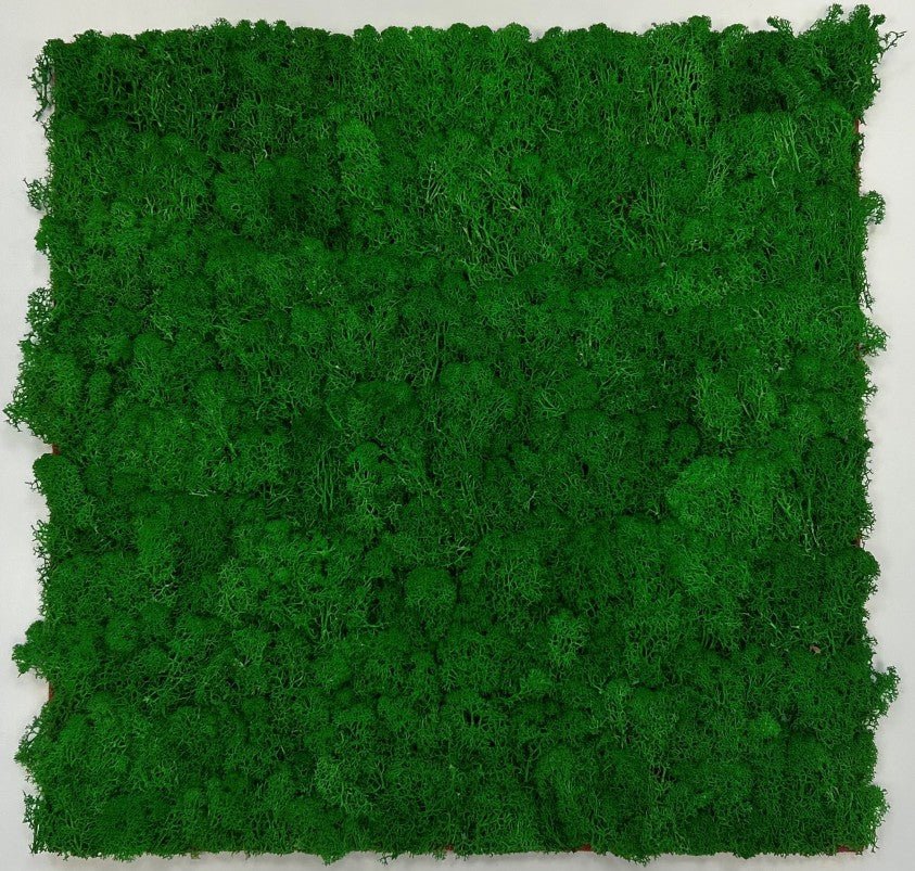 Vos Murs Panneau Mousse Nature Vert 52x52cm - Solza.nl